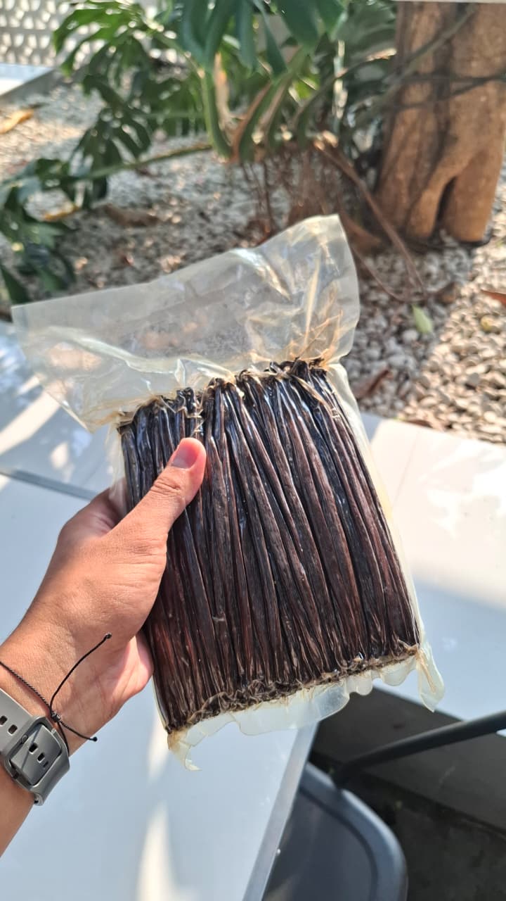 Export ready stock